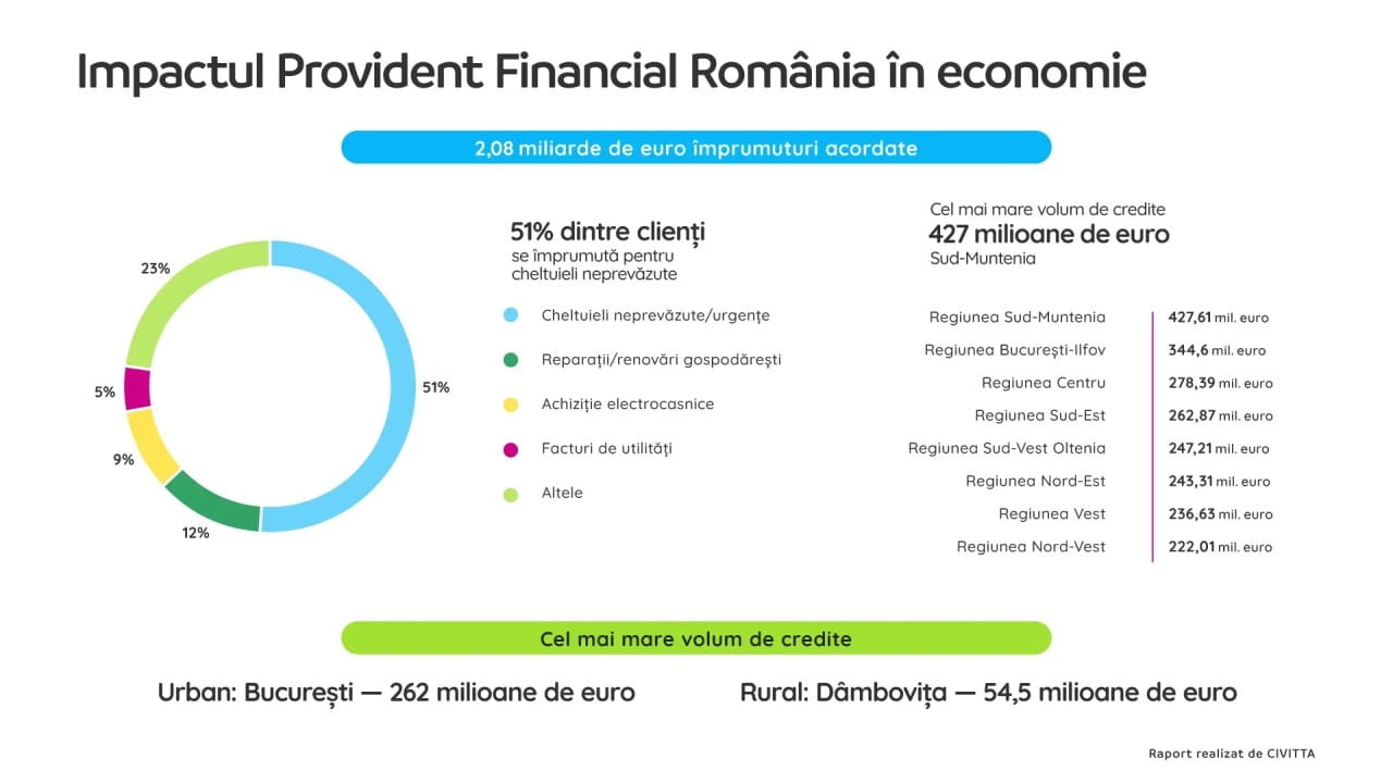 descarcare ghidul romanului chibzuit