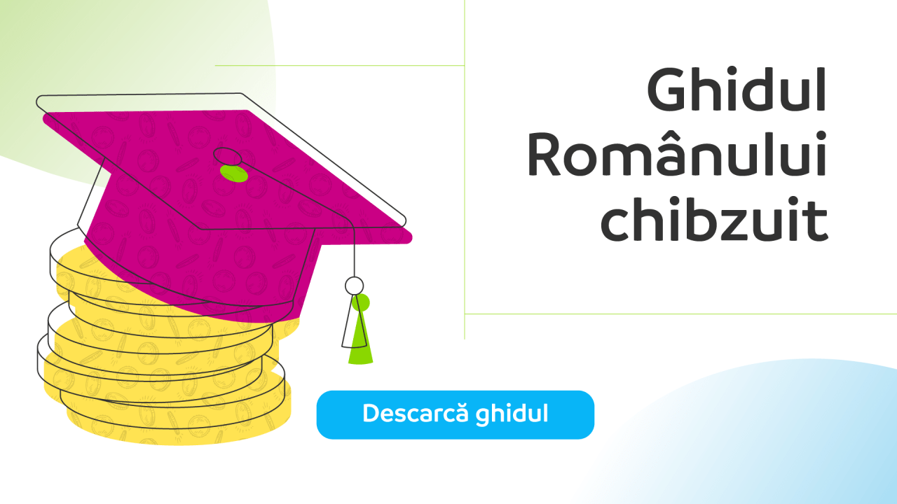 descarcare ghidul romanului chibzuit
