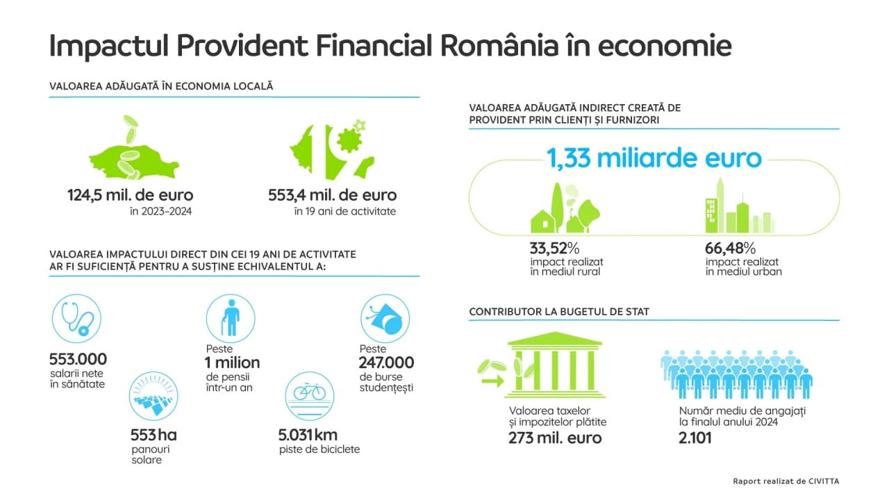 descarcare ghidul romanului chibzuit