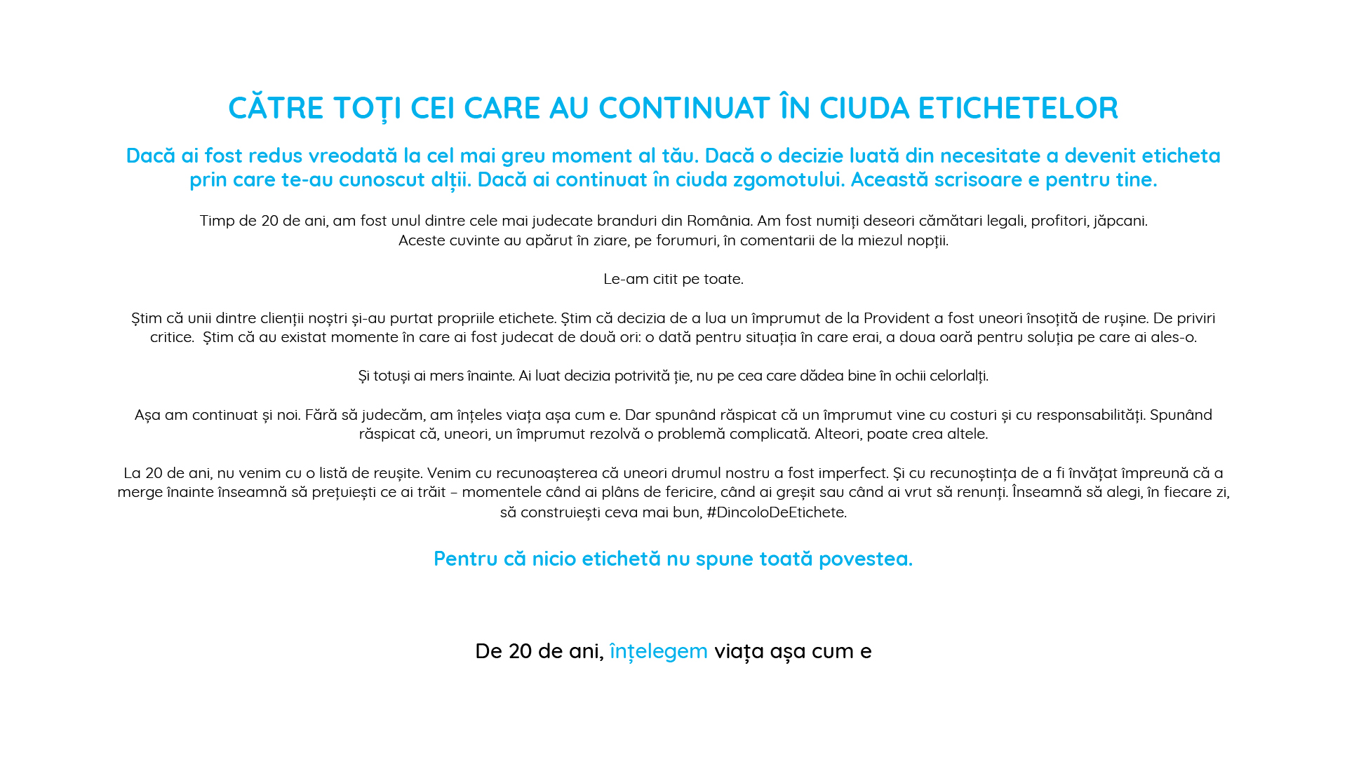 descarcare ghidul romanului chibzuit